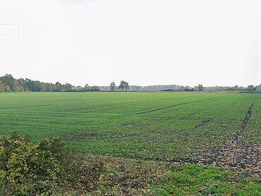 I26-20-024: Nahe Lindenhorst
		14641 Nauen