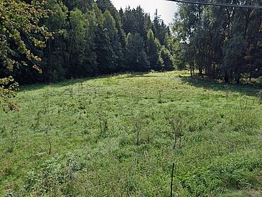 I26-20-006: Flurstück 189
		08541 Neuensalz