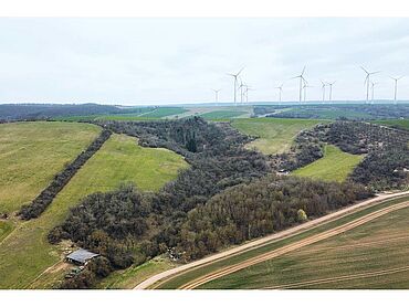 S26-04-090: nahe Hahnstraße, Flurstück 22/6
							99765 Heringen/Helme