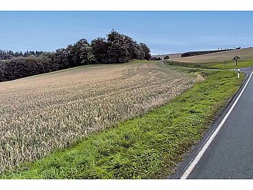 S26-03-104: Flurstücke 59, 167/1, 252/3, 333/5
							07330 Probstzella