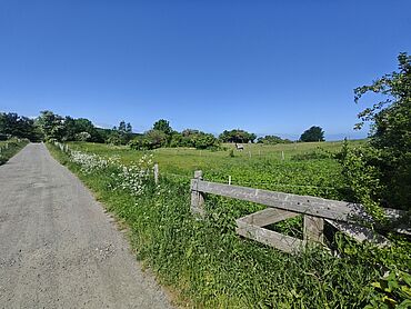 D26-03-015: Pillauer Straße/ Scheitelberg
							23774 Heiligenhafen