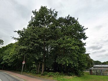 I26-15-003: 
		28790 Schwanewede