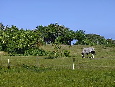 D26-03-015: Pillauer Straße/ Scheitelberg
							23774 Heiligenhafen
