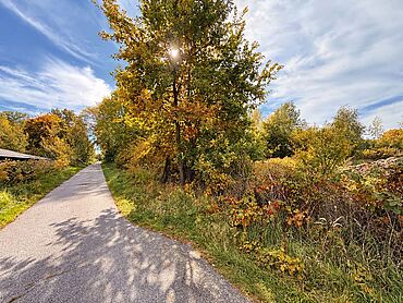 S26-04-023: Sohländer Straße,
							02894 Reichenbach/Oberlausitz