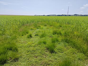 D26-03-010: 
							25980 Sylt