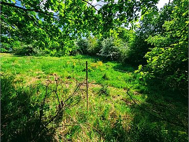 I26-16-009: 
		76855 Annweiler am Trifels