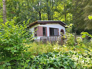 S26-03-019: Nahe B 175;
							09306 Rochlitz