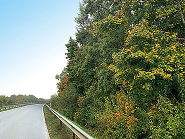 N26-03-026: An der A 7
							24983 Handewitt