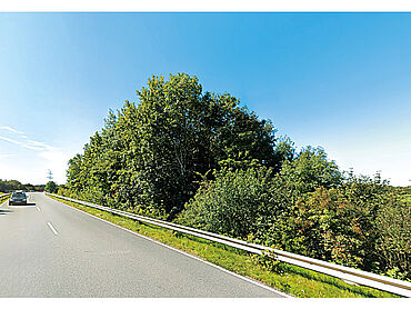 N26-03-026: An der A 7
							24983 Handewitt
